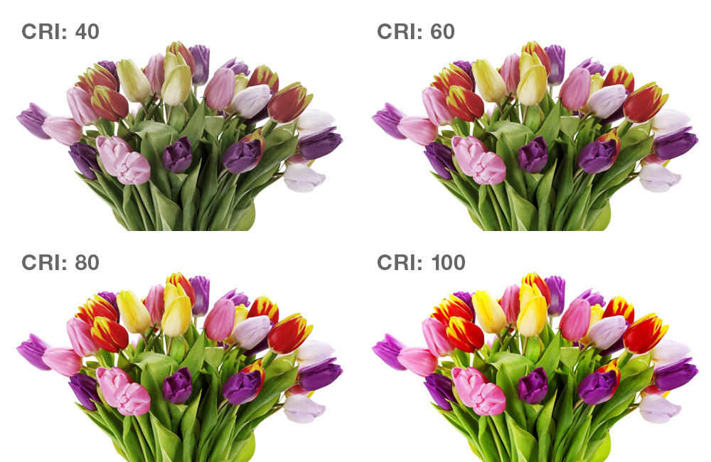 show your true colors dmf lighting color rendering index