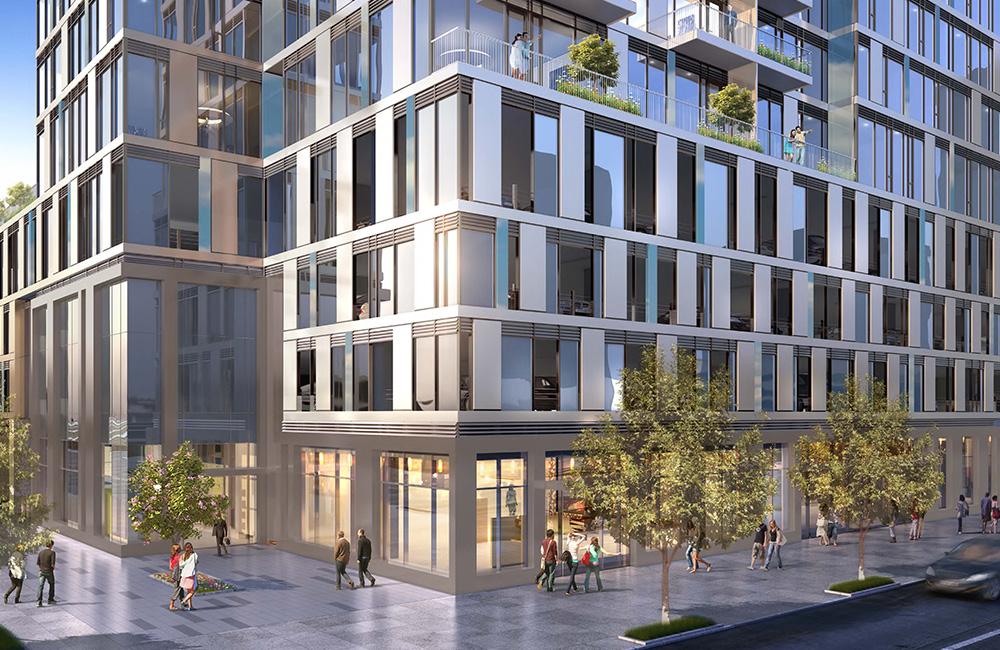 vision on wilshire dmf
